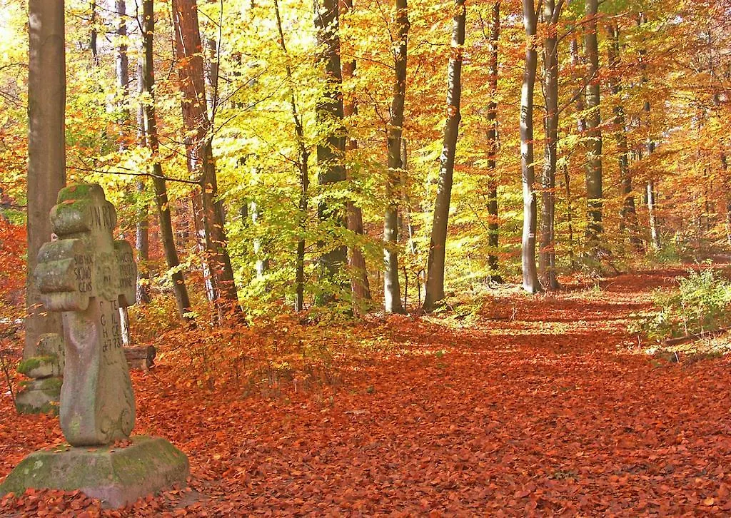 Ferienwohnung Zum Hornauer See Gerolzhofen